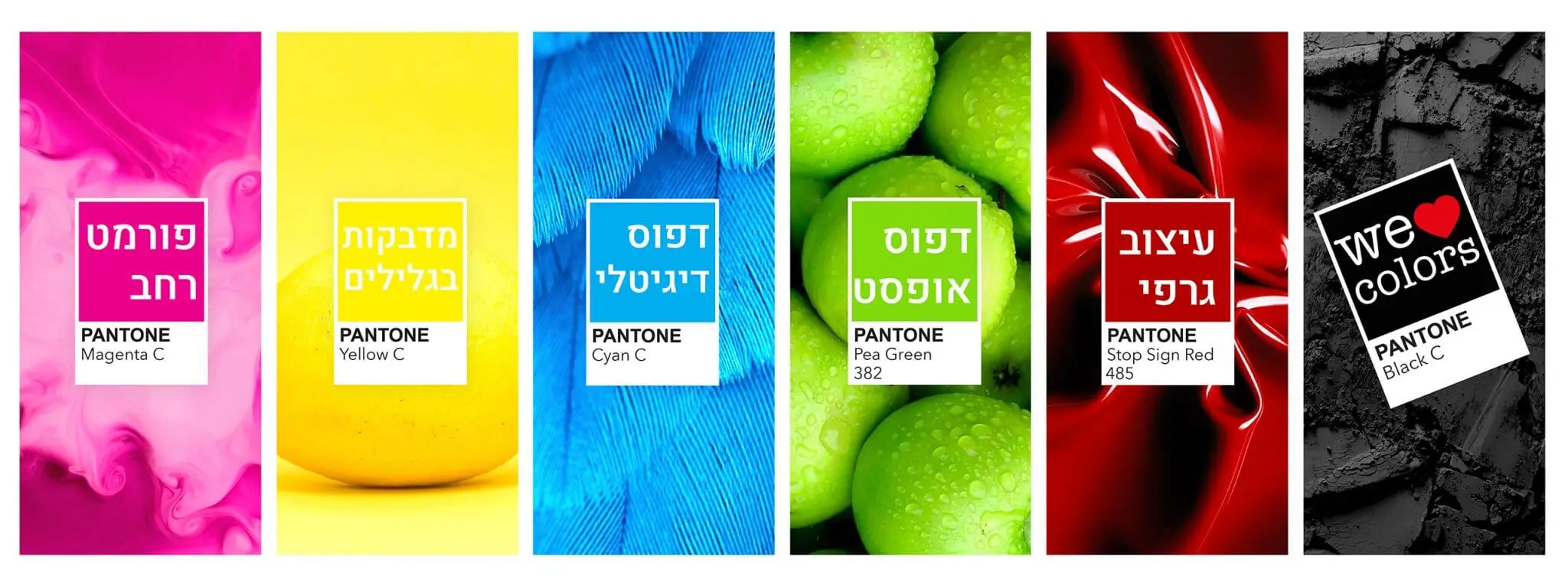 כל השירותים של דפוס דימונה - עיצוב גרפי | דפוס אופסט | דפוס דיגיטלי | מדבקות בגלילים | פורמט רחב באנר המציג את השירותים השונים של דפוס דימונה